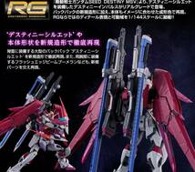 新品未使用 プレバン専売品 ＲＧ 1/144 デスティニーインパルス ガンダム プレミアムバンダイ_画像2