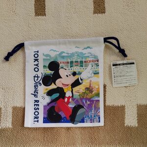 パーク内長期お品切れ中 タグ付き 新品 TDR ディズニー ショッピングバッグ柄 巾着 きんちゃく