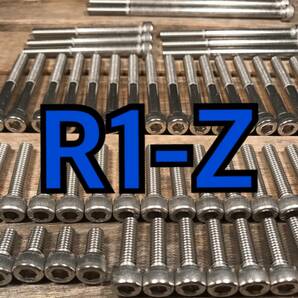 ステンレス製 R1-Z 3XC 左右エンジンカバーボルト 合計24本の画像1