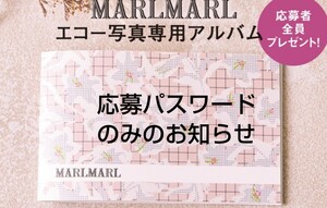 初めてのたまごクラブ MARLMARLデザイン エコー写真アルバム 応募者全員プレゼントパスワード相互評価　送料無料　新規お断り