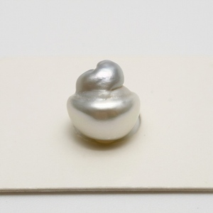 南洋白蝶真珠パールルース　12×10mm　ホワイトカラー