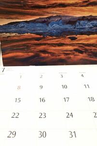 壁掛けカレンダー カレンダー canon 動物　佐川地域毎料金or郵便要事前連絡