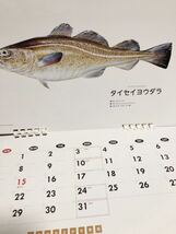 まぐろ　かに　たら　など　魚　カレンダー　絵手紙　絵　絵画　見本　釣り　佐川地域毎料金or郵便要事前連絡_画像3