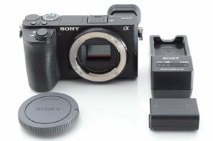 #A877 ★ショット数”５０３５７”回(EXIF調べ)並品★SONY α6500 ボディ ILCE-6500 ソニー