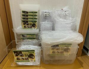 【新品未使用31ケース】コバエ侵入抑制ケース大3ケース中3ケース小4ケース クリアスライダー 大8ケース小13ケース カブトムシ クワガタ