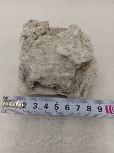 錬A★040 北投石 原石 326g 鉱物 ホルミシス ラジウム エネルギー 玉川