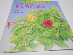 ★福音館かがくのとも『ゆうがたさくはな　おしろいばな』　2010年7月号　作・山根悦子　監修・多田多恵子