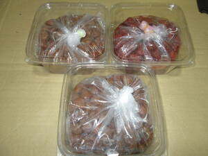 shi. plum / honey plum / and . plum each 1 kilo ( total 3 kilo )