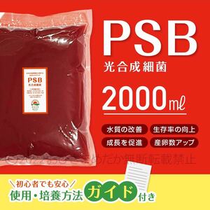 【PSB　光合成細菌　2000ml】メダカ 青水　針子　ミジンコ　ゾウリムシ培養　バクテリア　生クロレラ　金魚 　針子メダカ卵稚魚　めだかに