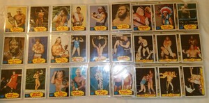 Topps 1985 WWF PRO-WRESTLING STARS 79枚　ダブリなし