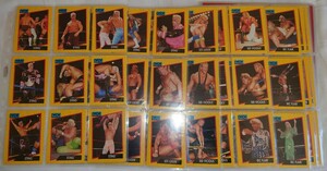 THE OFFICIAL TRADING CARDS OF WCW 1991-12 FULL COLOR CARD 162枚　コンプリート　