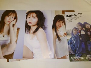 雑誌の切り抜き　坂本愛玲菜×秋吉優花×長野雅　10P