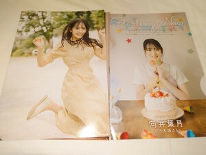 雑誌の切り抜き　向井葉月　乃木坂46　9P