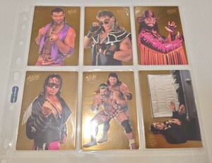 WWF 1994 ACTION PACKED 24kt Gold CARD （24金カード）6枚