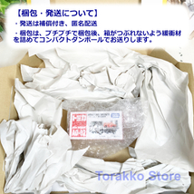 【新品・未開封】トミカ アジア限定モデル AO-02 いすゞ エルフ 車両運搬車_画像8
