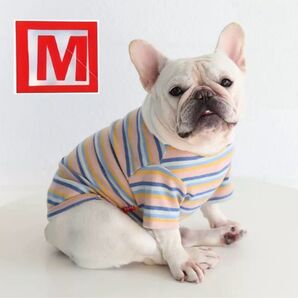 ドッグウェア 犬服 Tシャツ コットン 半袖 オールシーズン ブルー系 M
