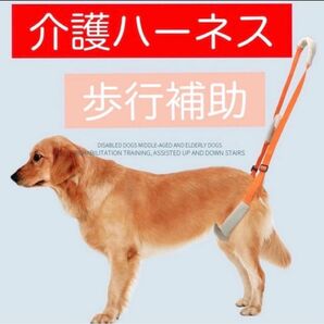 【簡単装着】 介護ハーネス 全犬種 補助ハーネス 介護 歩行補助 フリーサイズ