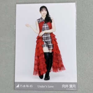 乃木坂46 向井葉月 UNDER's Love 生写真