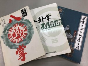 ★　【計3冊 中国武術まとめて 武当九式吐納養生法 伝統八卦掌 東洋医学 岳武 朱宝珍 ?敬儒】166-02401