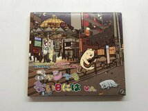 ★　【CD ニャンでもない日には V.A. KEBAB RECORDS 2009年】153-02401_画像1