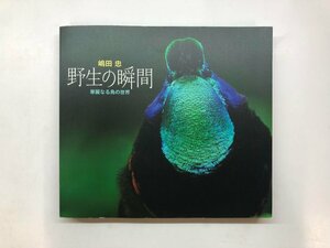 ★　【図録 野生の瞬間 華麗なる鳥の世界 嶋田忠 東京都写真美術館 2019年】178-02401