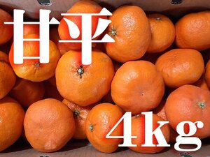 【ブランド柑橘】愛媛産　甘平　みかん　4ｋｇ入1箱　かんぺい②