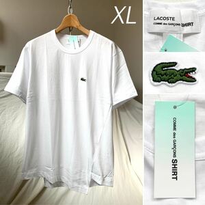 XL 新品 2023AW コムデギャルソンシャツ LACOSTE ラコステ コラボ 斜行 非対称 ねじれ Tシャツ 白 ホワイト 希少サイズ