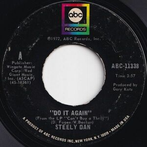 Steely Dan Do It Again / Fire In The Hole ABC US ABC-11338 205259 ROCK POP ロック ポップ レコード 7インチ 45