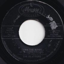 Platters To Each His Own / Down The River Of Golden Dreams Mercury US 71697 205338 R&B R&R レコード 7インチ 45_画像2