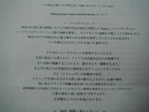 カケヤジーンズ バージラデニムパンツ Vento ヴェント 立体裁断 サイズ03（L相当） グレー 試着のみ デニムトラウザー 美脚 KAKEYA JEANS_画像8