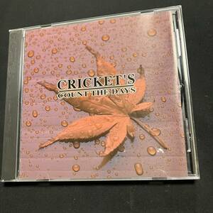 ZD1 帯付 CD クリケッツ / カウント・ザ・デイズ Cricket’s count the days レア