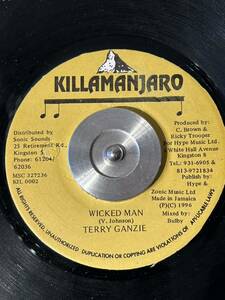 TERRY GANZIE / WICKED MAN (7')