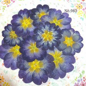 ☆new☆可愛いジュリアン押し花セット☆使いやすい少量の押し花セット☆