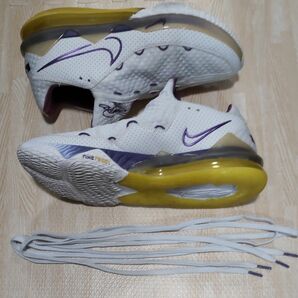 Nike Lebron(レブロン) 17 low 31cm