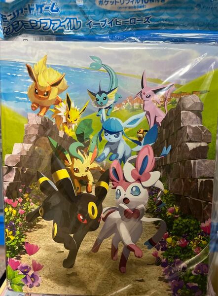 【新品傷有】ポケモンカードゲーム　イーブイヒーローズ　バインダー