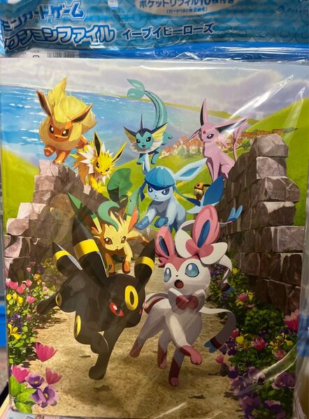 【新品傷有】ポケモンカードゲーム イーブイヒーローズ バインダー
