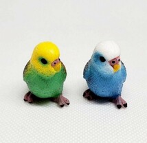 鳥の置物　セキセイインコ　ミニチュア 　ペア２色セット　鳥の雑貨　HANAKO_画像4