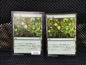 MTG　カルニの庭　2枚　A036