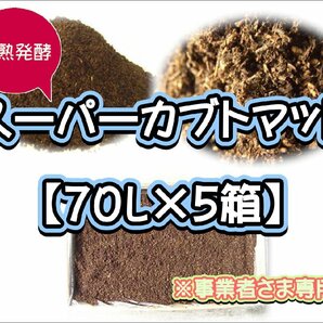 【配送条件あり】スーパーカブトマット 70L（大袋）×５箱【super完熟発酵カブトマット】の画像1