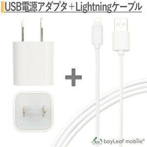 USB電源アダプタ USBポート1口 + iPhone充電ケーブル 20cm セット ホワイト