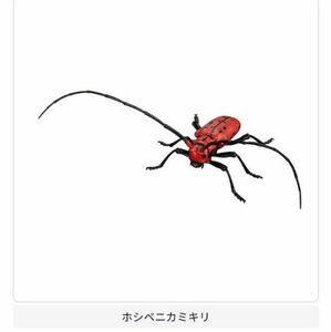 いきもの大図鑑アドバンス カミキリムシ ホシベニカミキリ