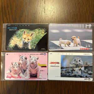 テレカ　キタキツネ（オホーツクの旅）、ホワイトタイガー（イリュージョン）、子犬、エゾモモンガ（ZOOM in HOKKAIDO）　テレホンカード