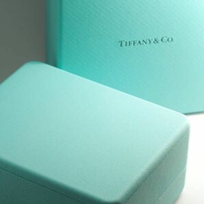 TIFFANY&Co. ティファニー　ブルーボックス　ネックレスケース　箱　美品