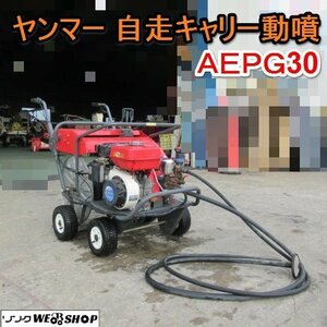 愛知★ヤンマー 自走 キャリー 動噴 AEPG30 4馬力 巻取り 動力 噴霧機 噴霧器 中古品■K24010802