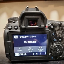 Canon　EOS6D Mark2 フルサイズ一眼レフカメラ　キャノン　_画像7