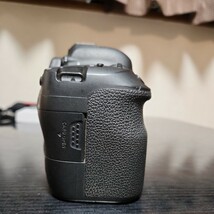 Canon　EOS6D Mark2 フルサイズ一眼レフカメラ　キャノン　_画像5