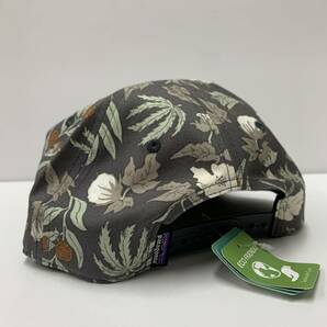 2020 SP Patagonia パタゴニア Live Simply キャップ Cap funfarer ギター 検索 サーフィン 総柄の画像3