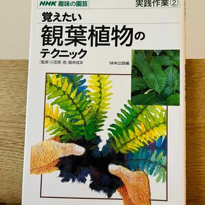 覚えたい観葉植物のテクニック