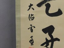 小田雪窓 日々是好日 一行書 肉筆紙本 掛軸 軸装(藤井誡堂識箱) 大徳寺五百六世 臨済宗 茶掛 茶道具 w240039_画像7