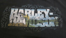 UST92ハーレーダビッドソンHARLEY-DAVIDSONアメリカ古着ショップTシャツ両面プリントTシャツLクラブチームTシャツ黒Tシャツ オールド_画像4